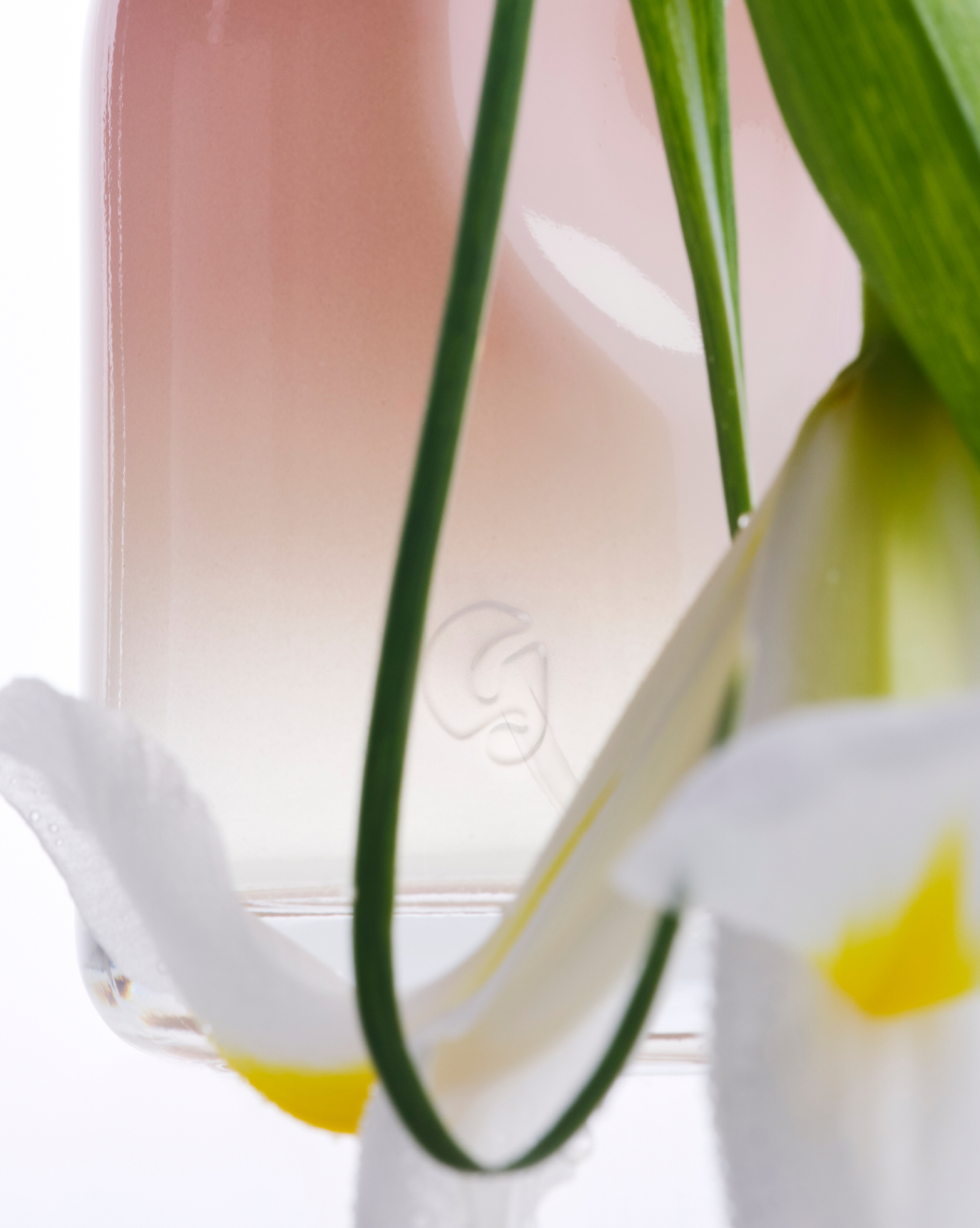 50 ml | g logo