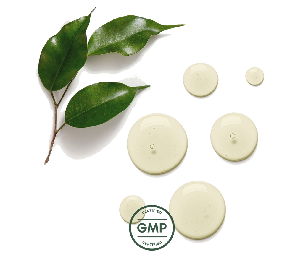 certified-GMP-supplement