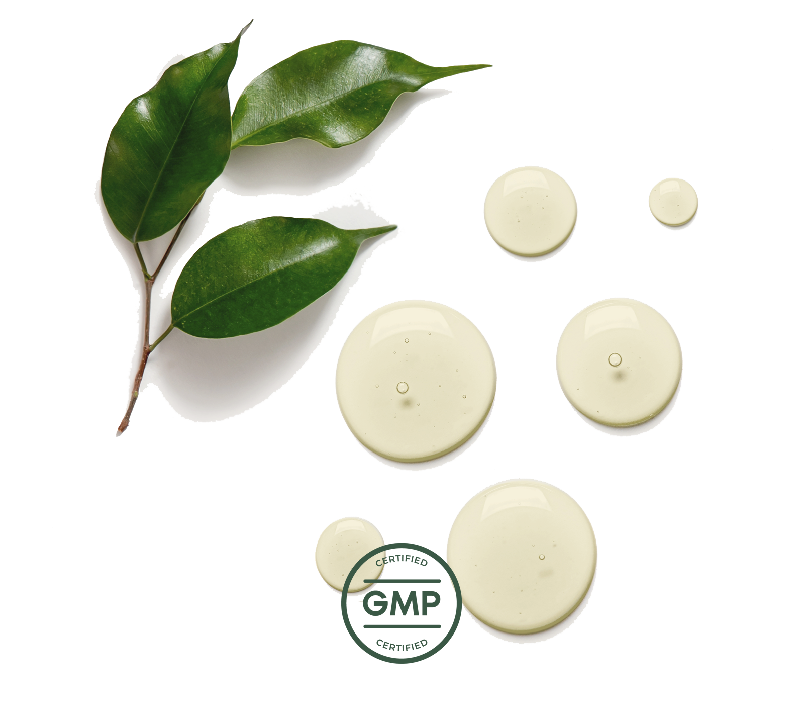 certified-GMP-supplement
